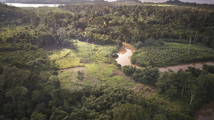 Kamerun, Luftaufnahme des Sanaga-Flusses in der Landschaft - VEGF01403