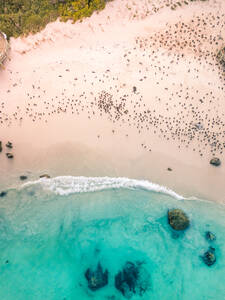 Aerial view of natural reserve penguins watching at Foxy Beach, South Africa. - AAEF06323