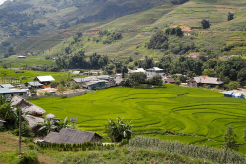 Reisfelder auf Terrassen, Sapa, Vietnam, Indochina, Südostasien, Asien - RHPLF13411