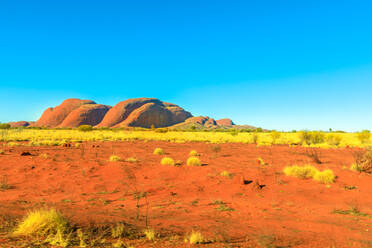 Die kuppelförmigen Felsformationen von Kata Tjuta (Mount Olgas) im Uluru-Kata Tjuta-Nationalpark, UNESCO-Weltkulturerbe, Northern Territory, Zentralaustralien, Pazifik - RHPLF13474