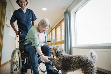 Lächelnder Krankenpfleger betrachtet eine behinderte ältere Frau im Rollstuhl, die einem Hund in einer Gasse die Hand gibt - MASF16209