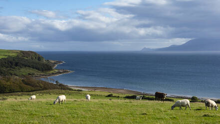Argyll und Bute mit Blick nach Westen auf Kintyre, Westliche Inseln von Schottland, Vereinigtes Königreich, Europa - RHPLF13484