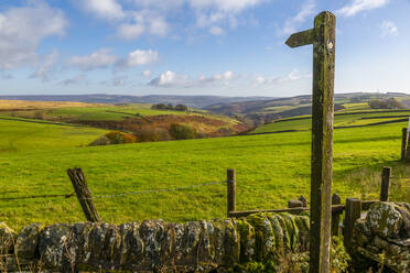 View of autumn colours near Great Hucklow, Derbyshire, Peak District National Park, England, United Kingdom, Europe - RHPLF13510