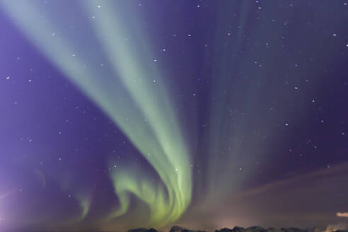 Nordlicht (Aurora Borealis), spektakuläres Schauspiel im Winter, Norwegische See, vor Lofoten, Nordland, Polarkreis, Nordnorwegen, Europa - RHPLF13562