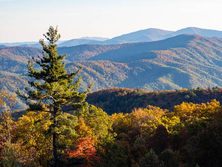 Herbstliche Aussicht auf die Berge vom Blue Ridge Parkway, Appalachen, North Carolina, Vereinigte Staaten von Amerika, Nordamerika - RHPLF13668