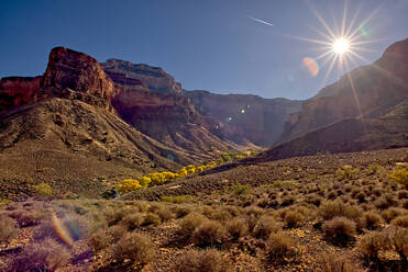 Bright Angel Canyon nördlich des Südrandes mit leuchtend gelben Bäumen am Boden des Canyons (Indian Gardens), Grand Canyon National Park, UNESCO-Weltkulturerbe, Arizona, Vereinigte Staaten von Amerika, Nordamerika - RHPLF13688