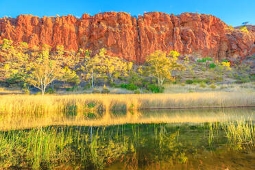 Landschaftliche rote Sandsteinwand und Buschvegetation, die sich im Wasserloch spiegelt, Glen Helen Gorge in den West MacDonnell Ranges, Zentralaustralisches Outback entlang des Red Centre Way, Northern Territory, Australien, Pazifik - RHPLF13705