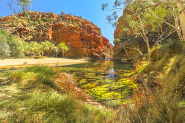 Panoramablick auf das Wasserloch Ellery Creek Big Hole in den West MacDonnell Ranges, umgeben von roten Felsen und Buschvegetation im Outback, Northern Territory, Zentralaustralien, Australien, Pazifik - RHPLF13709