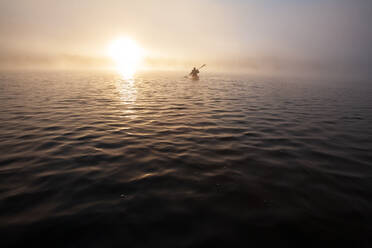 Solo paddling on a misty pond at sunrise. - CAVF72861