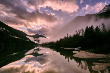 Morgennebel zieht durch den Wald am Diablo Lake, Washington. - CAVF72880