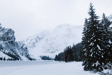 Snowy forest and frozen lake on a cold winter day - CAVF72904