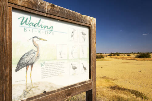 Ein Schild über Watvögel im Kern Valley Wildlife Refuge im kalifornischen Central Valley, das als wichtiger Rast- und Futterplatz für Wildvögel geschaffen wurde, die entlang des Pazifiks wandern - CAVF72957