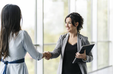 Two happy businesswomen shaking hands at the window - DGOF00040