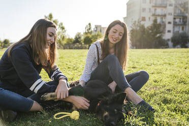 Sisters playing with dog in park - CUF54425