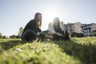 Schwestern spielen mit Hund im Park - CUF54426