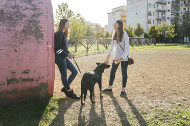 Schwestern mit Hund unterhalten sich im Park - CUF54429