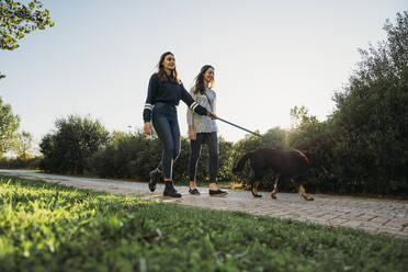 Schwestern führen Hund im Park aus - CUF54435