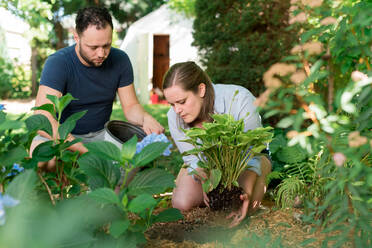 Ehepaar bei der Gartenarbeit im Hinterhof - CUF54514