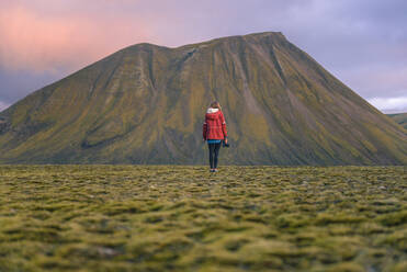 Hiker exploring mossy landscape, Landmannalaugar, Highlands, Iceland - CUF54535