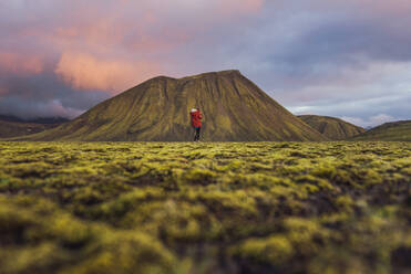 Hiker exploring mossy landscape, Landmannalaugar, Highlands, Iceland - CUF54536