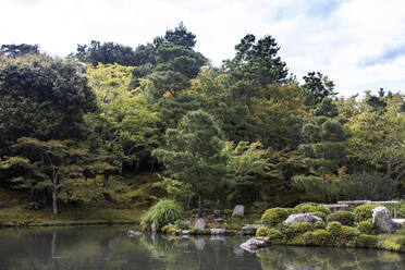 Japan, Präfektur Kyoto, Kyoto, Sogen-Teich im Tenryu-Ji-Tempel - ABZF02879