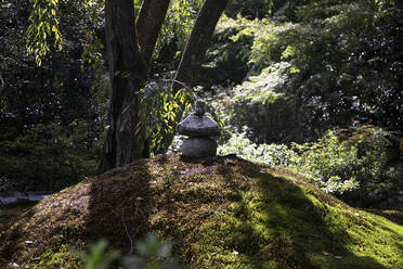 Japan, Präfektur Kyoto, Kyoto, Steinlaterne im Sogenchi-Garten - ABZF02881