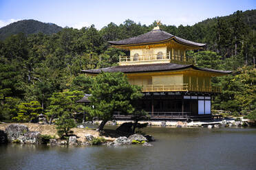 Japan, Präfektur Kyoto, Kyoto, Buddhistischer Tempel Goldener Pavillon - ABZF02901