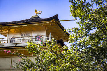 Japan, Präfektur Kyoto, Kyoto, Niedriger Blickwinkel auf den buddhistischen Tempel Goldener Pavillon - ABZF02904