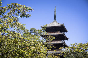 Japan, Präfektur Kyoto, Kyoto, Blick von unten auf die Yasaka-Pagode bei klarem Himmel - ABZF02919