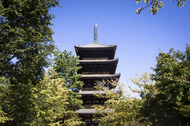 Japan, Präfektur Kyoto, Kyoto, Blick von unten auf die Yasaka-Pagode bei klarem Himmel - ABZF02920