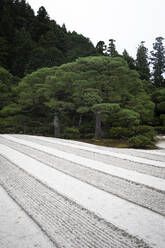 Japan, Kyoto, Fußweg im Garten in der Nähe eines Tempels - ABZF02930