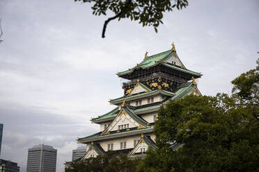 Japan, Osaka, Außenansicht der Burg - ABZF02973
