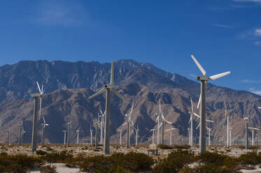 Windpark, Palm Springs, Kalifornien, USA - ISF23600