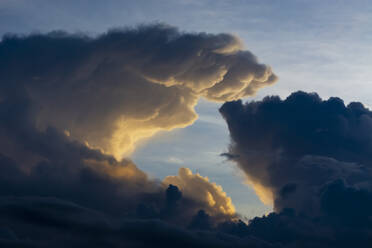 Dunkle Gewitterwolkenformation, Tsavo, Kenia - ISF23601