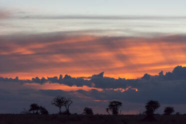 Sonnenuntergang über dem Lualenyi-Wildreservat, Voi, Kenia - ISF23644