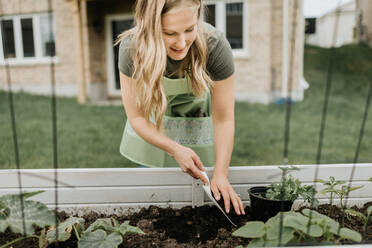 Woman growing plants in trough in garden - ISF23652