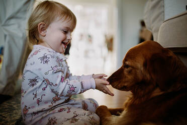 Toddler interacting and smiling with golden retriever - CAVF72995