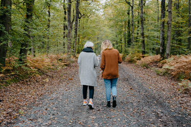 Zwei Frauen, die in einem herbstlichen Wald spazieren gehen und dabei ihr Smartphone überprüfen - CAVF73068
