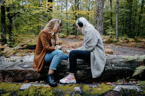 Zwei junge Erwachsene schauen sich in einem abgelegenen Wald ein Video auf einem Smartphone an - CAVF73069