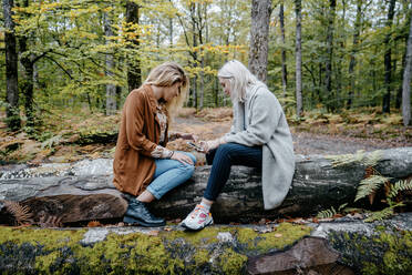 Women using mobile phone in a remote forest - CAVF73070