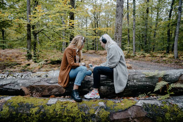 Junge Frauen mit Mobiltelefon und Kopfhörer in einem abgelegenen Wald - CAVF73071