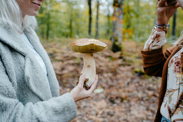 Junge Frauen fotografieren einen riesigen Pilz in einem Wald - CAVF73076