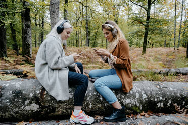 Frauen, die in einem abgelegenen Wald Videos auf ihrem Smartphone streamen - CAVF73078