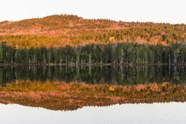 Ruhige Reflexion auf einem Teich in Maine - CAVF73102