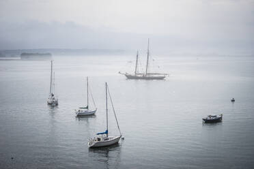 Boote vor Anker an einem nebligen Morgen in Portland, Maine - CAVF73111