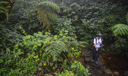 Frau beim Wandern durch den Regenwald im Zentrum Sri Lankas - CAVF73190