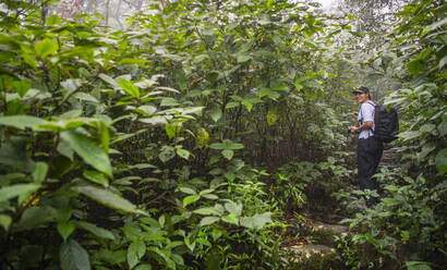 Frau erkundet den Regenwald im Zentrum Sri Lankas - CAVF73193