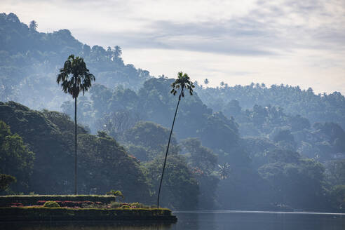 Der See in Kandy im Zentrum Sri Lankas - CAVF73204