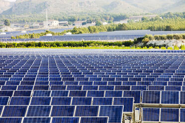 Ein Photovoltaik-Solarkraftwerk in der Nähe von Calasparra, Murcia, Spanien, bei Sonnenaufgang. - CAVF73293