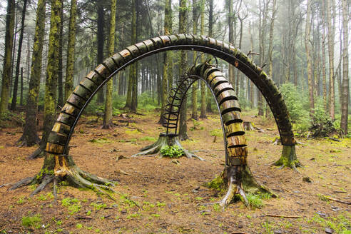 Der Pendle-Skulpturenpfad im Aitken-Wald, in der Nähe von Clitheroe, Lancashire, Vereinigtes Königreich. - CAVF73329